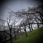 ヒメ日記 2025/04/04 15:30 投稿 浅見怜 五十路マダム 新潟店(カサブランカグループ)