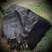 ヒメ日記 2025/04/04 16:30 投稿 浅見怜 五十路マダム 新潟店(カサブランカグループ)