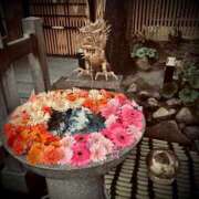 ヒメ日記 2025/04/04 23:30 投稿 浅見怜 五十路マダム 新潟店(カサブランカグループ)