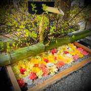 ヒメ日記 2025/04/09 03:00 投稿 浅見怜 五十路マダム 新潟店(カサブランカグループ)