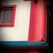 ヒメ日記 2025/04/11 14:02 投稿 浅見怜 五十路マダム 新潟店(カサブランカグループ)