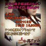 ヒメ日記 2025/04/11 22:02 投稿 浅見怜 五十路マダム 新潟店(カサブランカグループ)