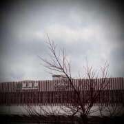 ヒメ日記 2025/04/13 16:00 投稿 浅見怜 五十路マダム 新潟店(カサブランカグループ)