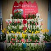 ヒメ日記 2025/04/13 18:02 投稿 浅見怜 五十路マダム 新潟店(カサブランカグループ)