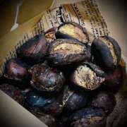 ヒメ日記 2025/04/15 12:32 投稿 浅見怜 五十路マダム 新潟店(カサブランカグループ)