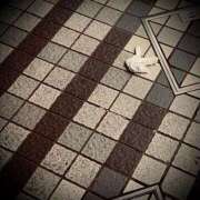 ヒメ日記 2025/04/16 11:02 投稿 浅見怜 五十路マダム 新潟店(カサブランカグループ)