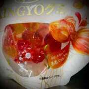 ヒメ日記 2025/04/17 16:00 投稿 浅見怜 五十路マダム 新潟店(カサブランカグループ)