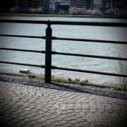 ヒメ日記 2025/04/18 03:00 投稿 浅見怜 五十路マダム 新潟店(カサブランカグループ)