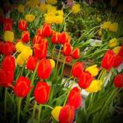 ヒメ日記 2025/04/21 23:32 投稿 浅見怜 五十路マダム 新潟店(カサブランカグループ)