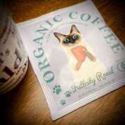 ヒメ日記 2025/04/23 07:02 投稿 浅見怜 五十路マダム 新潟店(カサブランカグループ)