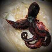 ヒメ日記 2025/04/23 10:08 投稿 浅見怜 五十路マダム 新潟店(カサブランカグループ)