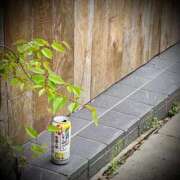 ヒメ日記 2025/04/24 18:04 投稿 浅見怜 五十路マダム 新潟店(カサブランカグループ)