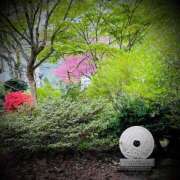 ヒメ日記 2025/05/01 00:08 投稿 浅見怜 五十路マダム 新潟店(カサブランカグループ)