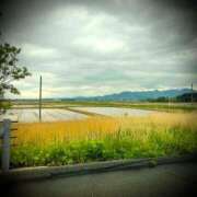 ヒメ日記 2025/05/04 18:16 投稿 浅見怜 五十路マダム 新潟店(カサブランカグループ)