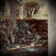 ヒメ日記 2025/05/05 10:06 投稿 浅見怜 五十路マダム 新潟店(カサブランカグループ)