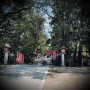 ヒメ日記 2025/05/05 12:06 投稿 浅見怜 五十路マダム 新潟店(カサブランカグループ)