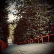 ヒメ日記 2025/05/05 14:02 投稿 浅見怜 五十路マダム 新潟店(カサブランカグループ)