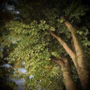 ヒメ日記 2025/05/06 19:04 投稿 浅見怜 五十路マダム 新潟店(カサブランカグループ)