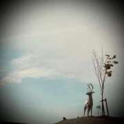 ヒメ日記 2025/05/06 23:32 投稿 浅見怜 五十路マダム 新潟店(カサブランカグループ)