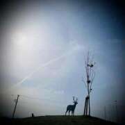 ヒメ日記 2025/05/07 17:02 投稿 浅見怜 五十路マダム 新潟店(カサブランカグループ)