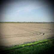 ヒメ日記 2025/05/07 20:32 投稿 浅見怜 五十路マダム 新潟店(カサブランカグループ)