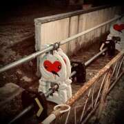 ヒメ日記 2025/05/08 23:32 投稿 浅見怜 五十路マダム 新潟店(カサブランカグループ)