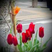 ヒメ日記 2025/05/09 16:30 投稿 浅見怜 五十路マダム 新潟店(カサブランカグループ)