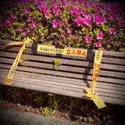 ヒメ日記 2025/05/13 21:34 投稿 浅見怜 五十路マダム 新潟店(カサブランカグループ)