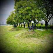 ヒメ日記 2025/05/15 18:32 投稿 浅見怜 五十路マダム 新潟店(カサブランカグループ)