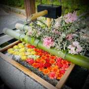 ヒメ日記 2025/05/15 20:32 投稿 浅見怜 五十路マダム 新潟店(カサブランカグループ)