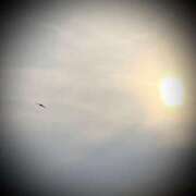 ヒメ日記 2025/05/16 10:22 投稿 浅見怜 五十路マダム 新潟店(カサブランカグループ)