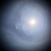 ヒメ日記 2025/05/16 19:02 投稿 浅見怜 五十路マダム 新潟店(カサブランカグループ)