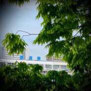 ヒメ日記 2025/05/17 23:46 投稿 浅見怜 五十路マダム 新潟店(カサブランカグループ)