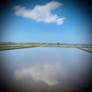 ヒメ日記 2025/05/20 11:02 投稿 浅見怜 五十路マダム 新潟店(カサブランカグループ)