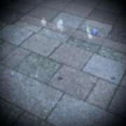 ヒメ日記 2025/05/22 09:12 投稿 浅見怜 五十路マダム 新潟店(カサブランカグループ)