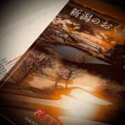 ヒメ日記 2025/05/22 19:02 投稿 浅見怜 五十路マダム 新潟店(カサブランカグループ)