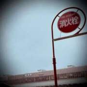 ヒメ日記 2025/05/23 05:00 投稿 浅見怜 五十路マダム 新潟店(カサブランカグループ)