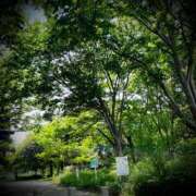 ヒメ日記 2025/05/23 22:02 投稿 浅見怜 五十路マダム 新潟店(カサブランカグループ)