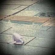 ヒメ日記 2025/05/25 06:20 投稿 浅見怜 五十路マダム 新潟店(カサブランカグループ)