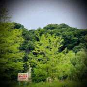 ヒメ日記 2025/05/26 19:02 投稿 浅見怜 五十路マダム 新潟店(カサブランカグループ)