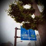 ヒメ日記 2025/05/26 20:02 投稿 浅見怜 五十路マダム 新潟店(カサブランカグループ)