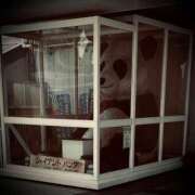 ヒメ日記 2025/05/26 22:02 投稿 浅見怜 五十路マダム 新潟店(カサブランカグループ)