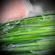 ヒメ日記 2025/05/28 22:16 投稿 浅見怜 五十路マダム 新潟店(カサブランカグループ)