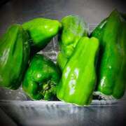 ヒメ日記 2025/05/28 22:46 投稿 浅見怜 五十路マダム 新潟店(カサブランカグループ)