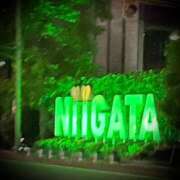 ヒメ日記 2025/05/29 05:54 投稿 浅見怜 五十路マダム 新潟店(カサブランカグループ)