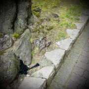 ヒメ日記 2025/05/30 23:02 投稿 浅見怜 五十路マダム 新潟店(カサブランカグループ)