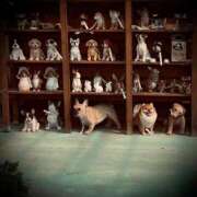 ヒメ日記 2025/06/03 00:16 投稿 浅見怜 五十路マダム 新潟店(カサブランカグループ)