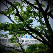 ヒメ日記 2025/06/03 07:02 投稿 浅見怜 五十路マダム 新潟店(カサブランカグループ)