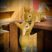 ヒメ日記 2025/06/03 11:06 投稿 浅見怜 五十路マダム 新潟店(カサブランカグループ)