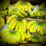 ヒメ日記 2025/06/04 10:08 投稿 浅見怜 五十路マダム 新潟店(カサブランカグループ)